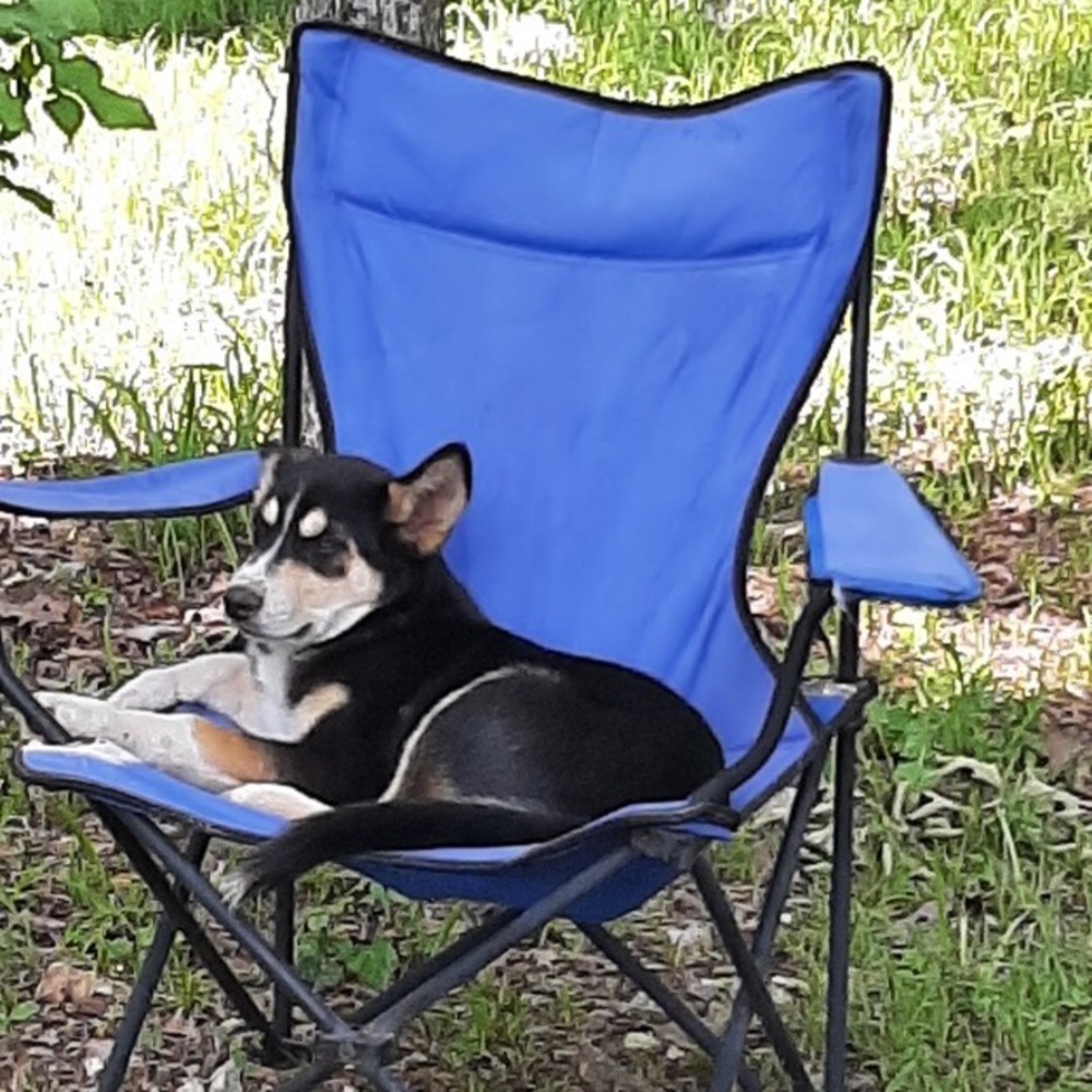 Meet your Posher, Fernando